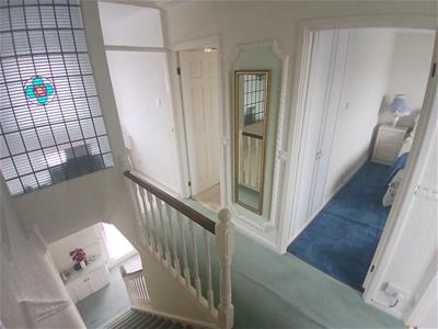 Picture 20